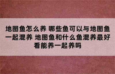 地图鱼怎么养 哪些鱼可以与地图鱼一起混养 地图鱼和什么鱼混养最好看能养一起养吗